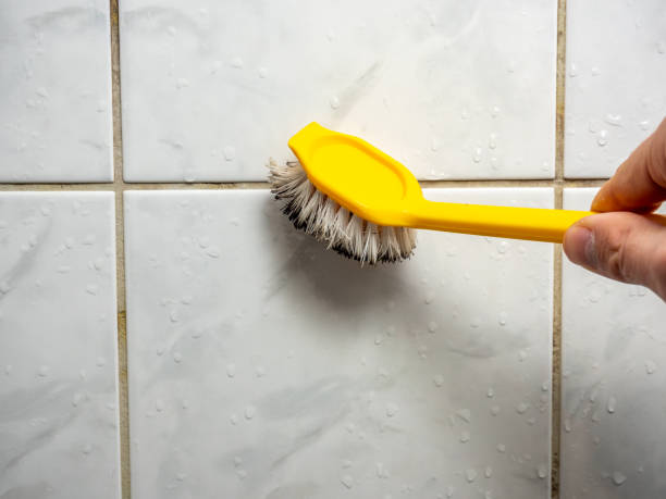 Trusted Campbell, OH Mold Removal Experts