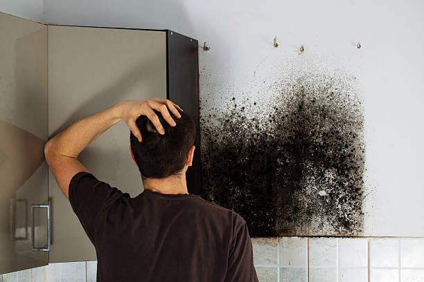 Water Damage Restoration in Campbell, OH